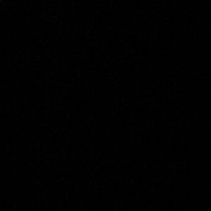 Meet your Posher, Donovan